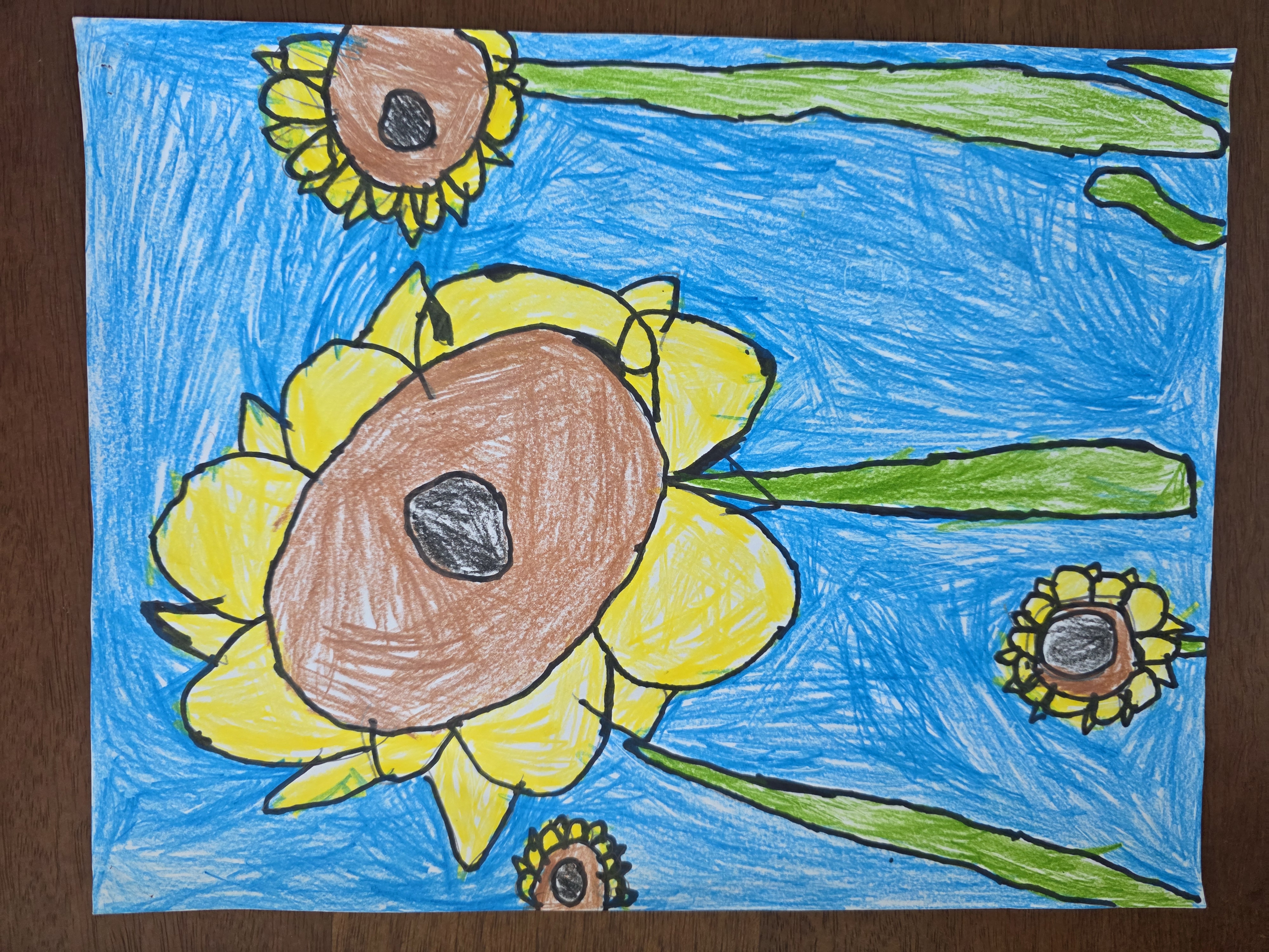 Original sunflower drawing photographed on paper