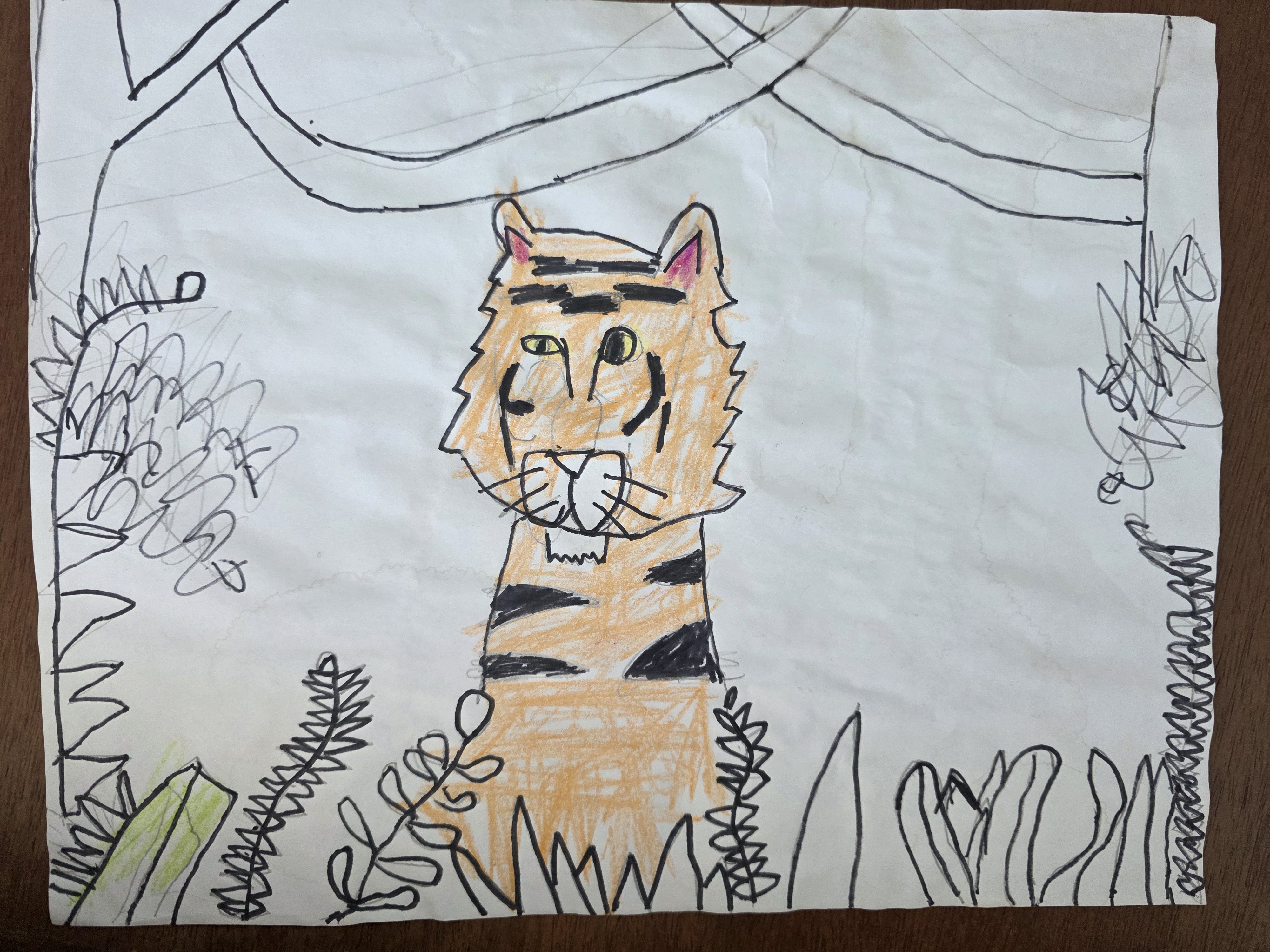 Original tiger drawing photographed on paper.