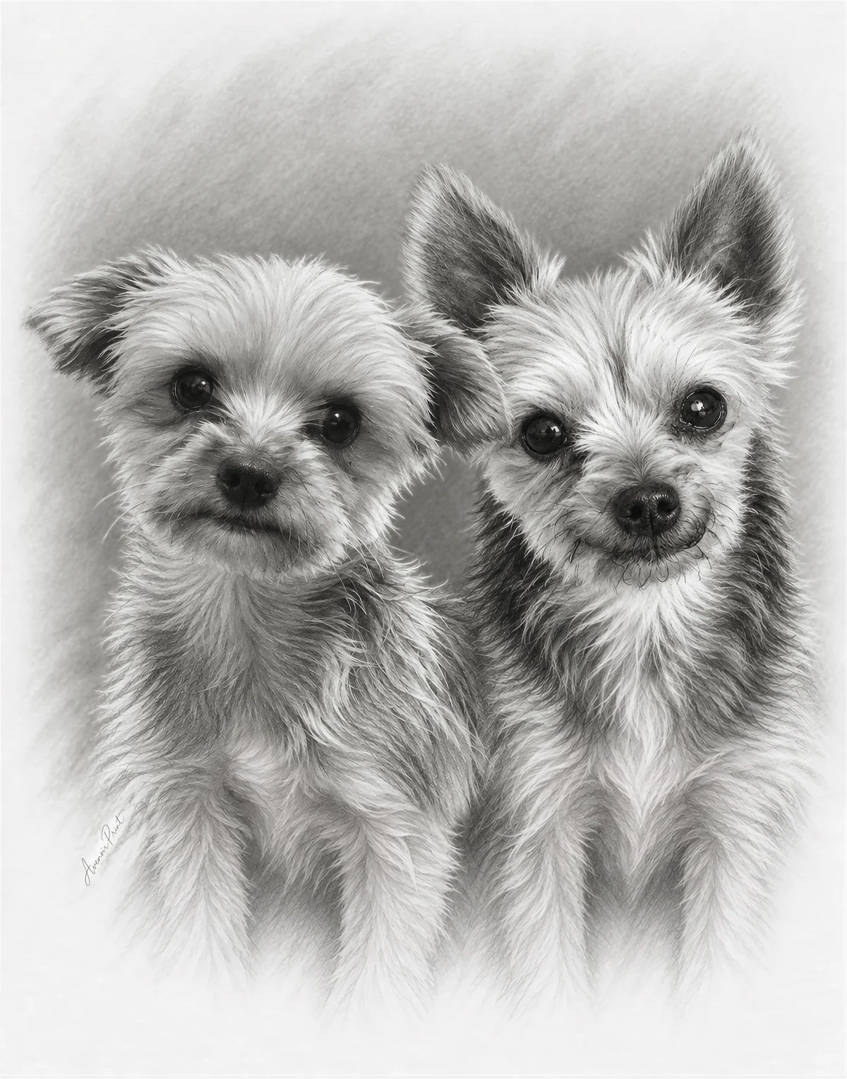 Finished detailed black-and-white portrait of Cash and Louis