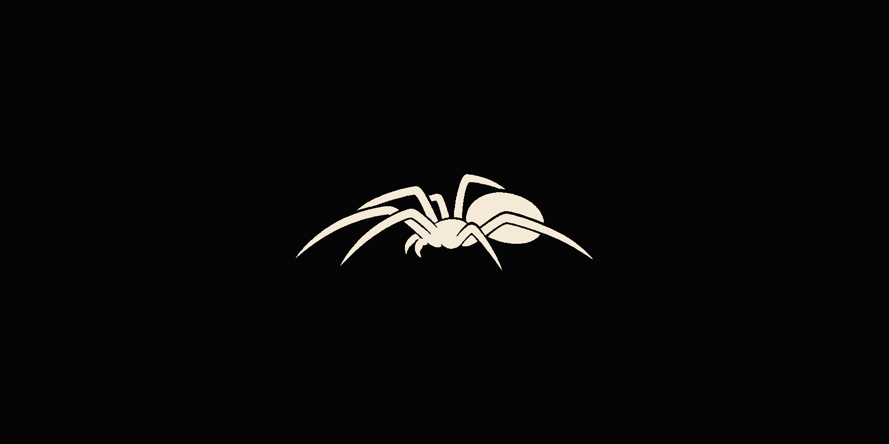 tiny crawling spider decal on a dark vehicle window